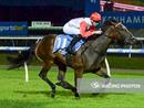 A Quartet Of Runners At Spacious Sandown